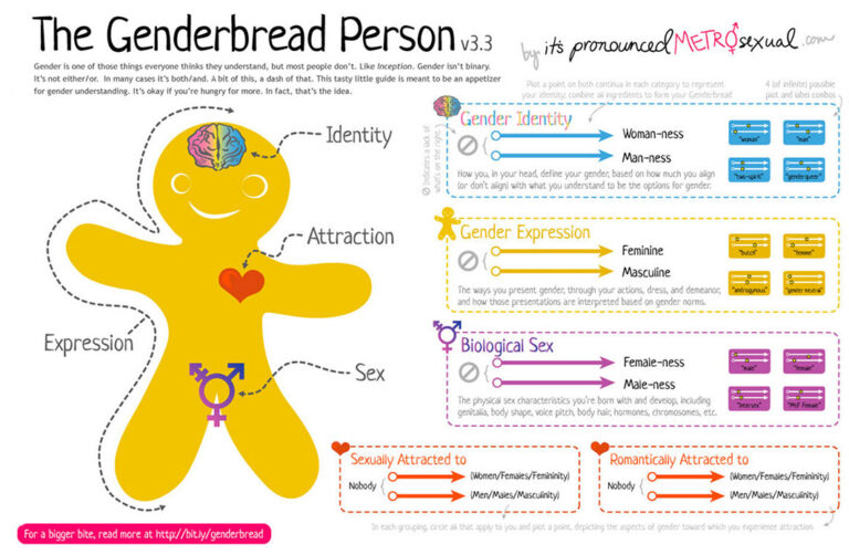 infographic for the genderbread person v3.3