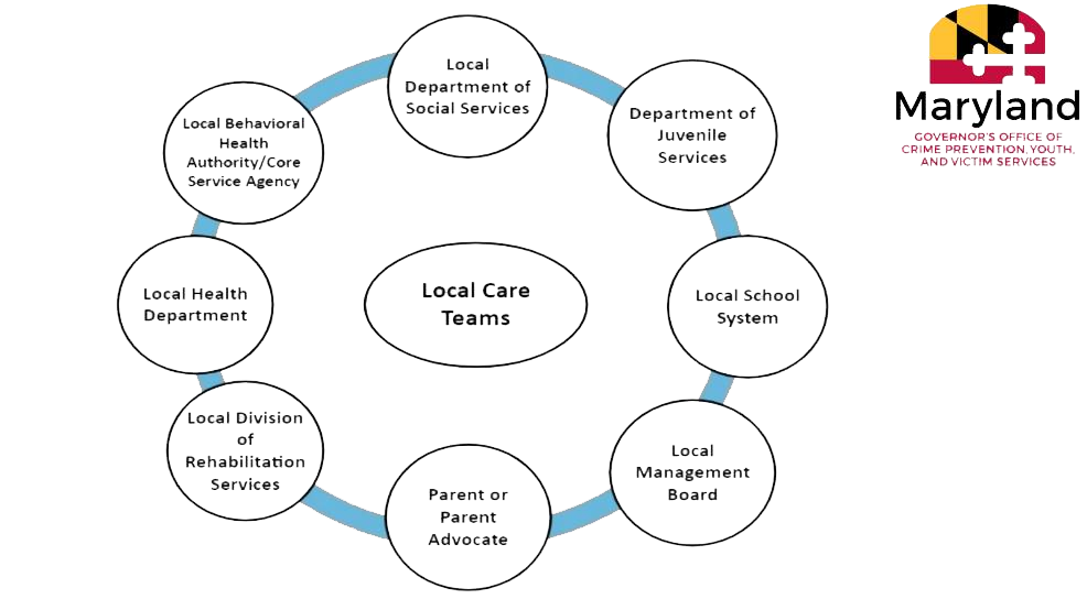 circle chart showing different sectors of a local care team